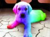 678512-bigthumbnail.jpg