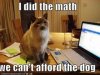cant afford the dog.jpg