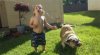 04-cool-dog-gallery.jpg