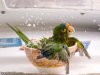 Staying_Cool.jpg