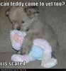 cute7-26clyxb.jpg