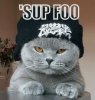CAT1.jpg
