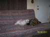Picture 042.jpg
