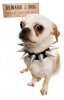 Beware of Dog.jpg