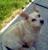 2013-07-28_11-14-16_182.jpg