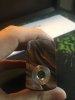 C71D729C-0D3E-4641-84DC-AFEECB5F61E3.jpeg