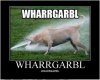 Silly_ca7941_571576.jpg