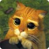 ImageUploadedByTapatalk1344265273.446919.jpg