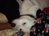 100_0522.jpg