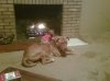 Photos from phone, 1-25-10 044.jpg