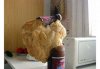 cool-beer.jpg