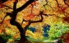 Golden_Autumn.jpg