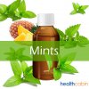 Mints100ml.jpg