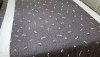 20180831_214642_001.jpg
