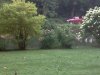 IMG_20120812_064231.jpg