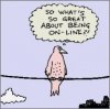 funny-bird.jpg