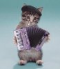 animal_gifs_10.jpg