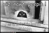 12613264.jpg