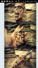Screenshot_2018-09-16-12-01-42.png