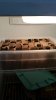 20181028_085634.jpg