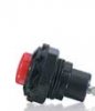 pRS1C-2160419t98.jpg