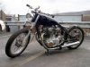 DSC01450.jpg