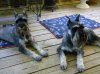 DSCN0386.jpg