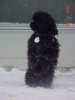 MrTsnowposing.jpg