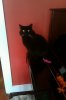 FxCam_1280183282830.jpg