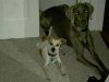 Picture 081.jpg