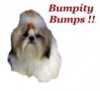 Yiddles-bumps.jpg