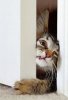 I can see you.jpg
