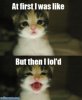 funny-animal-pictures-kitty-lol1.jpg
