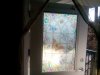 window film.jpg