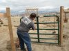 horse pen and horse 079.jpg