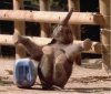 Animal Humor funny picture (568).jpg