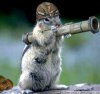 Animal Humor funny picture (530).jpg