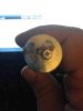 ImageUploadedByTapatalk1346806947.800670.jpg