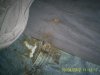 S4022201.jpg S4022201.jpg