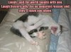 amusing_animal_pictures_funny_cats_photos_words_laugh_hysterically-1MD.jpg