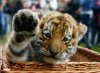_origin_High-five-5.jpg