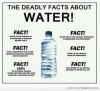 Deadly facts about water.jpg