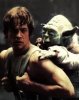 luke.jpg