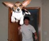 funny-animal-photos-of-the-03.jpg