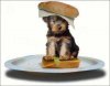 funny-hamburger-animals-04.jpg