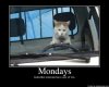 mondays.jpg