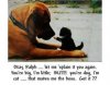 boss cat.jpg