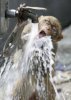 Animal Humor funny picture (592).jpg