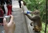 Animal Humor funny picture (498).jpg