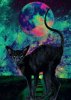 coolestCat - Copy.jpg